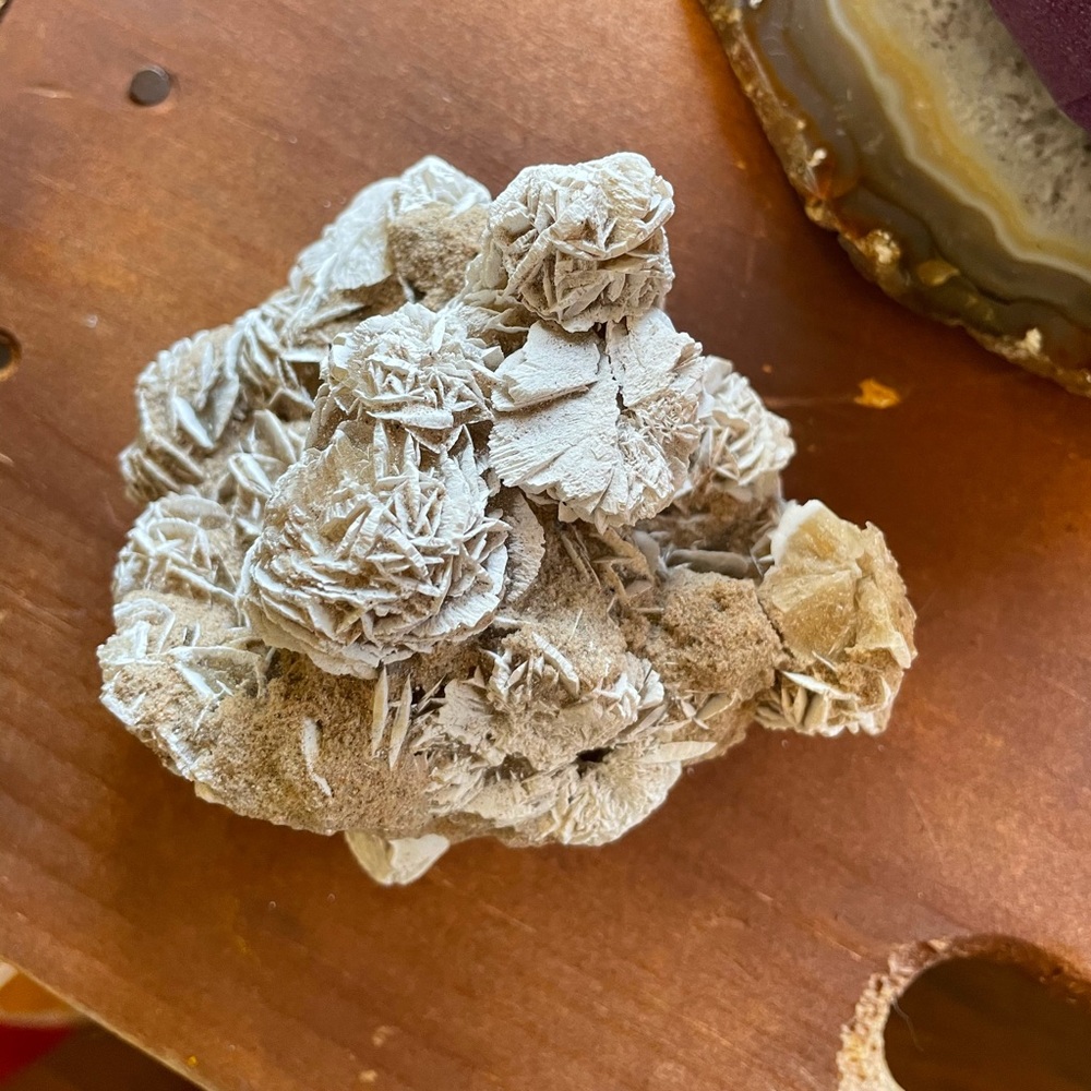Desert Rose